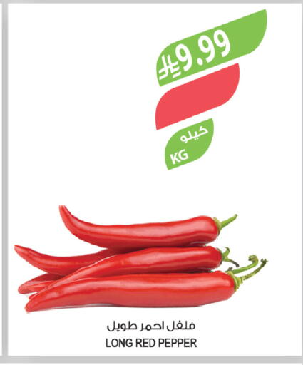 Pepper available at المزرعة in مملكة العربية السعودية, السعودية, سعودية - عرعر