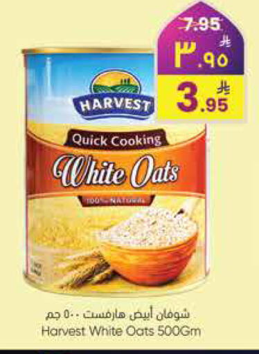 available at City Flower in KSA, Saudi Arabia, Saudi - Riyadh