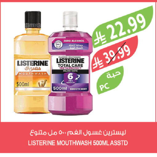 Mint available at المزرعة in مملكة العربية السعودية, السعودية, سعودية - المنطقة الشرقية