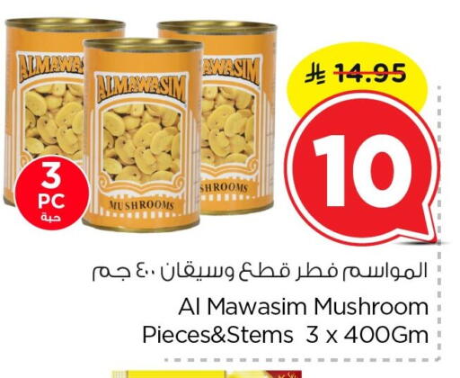 Mushroom available at نستو in مملكة العربية السعودية, السعودية, سعودية - الخبر‎
