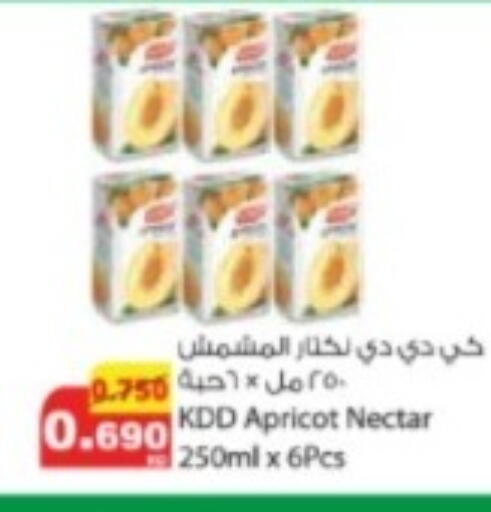 Apricot available at شركة المنتجات الزراعية الغذائية in الكويت - مدينة الكويت