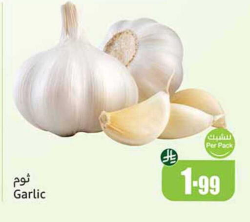 Garlic available at Othaim Markets in KSA, Saudi Arabia, Saudi - Al Duwadimi