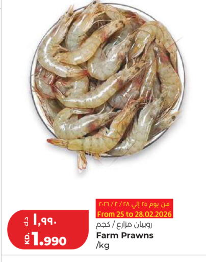 available at Lulu Hypermarket  in Kuwait - Ahmadi Governorate