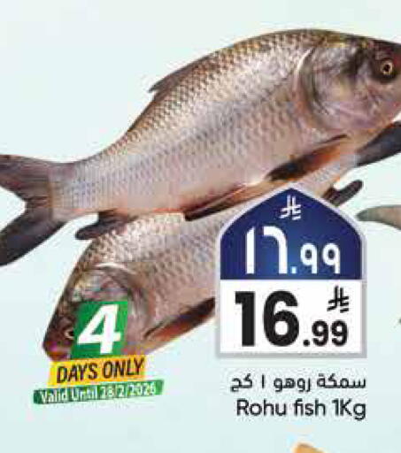 available at City Flower in KSA, Saudi Arabia, Saudi - Najran