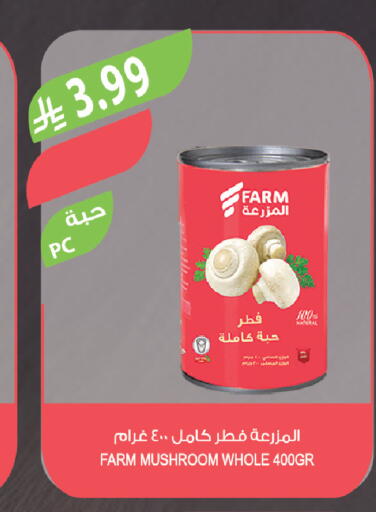 Mushroom available at Farm  in KSA, Saudi Arabia, Saudi - Sakaka