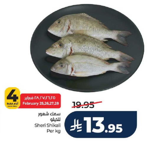 available at لولو هايبرماركت in مملكة العربية السعودية, السعودية, سعودية - الطائف