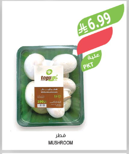 Mushroom available at Farm  in KSA, Saudi Arabia, Saudi - Sakaka