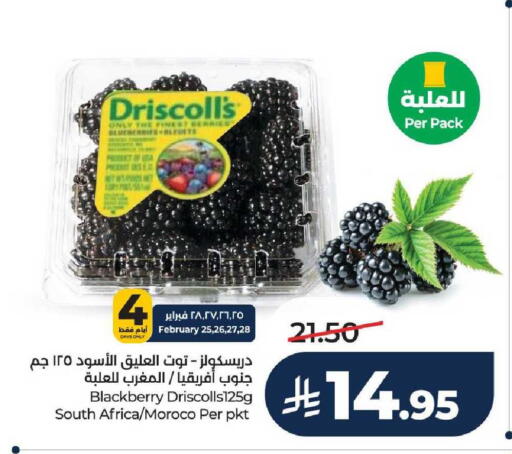 Blackberry from South Africa available at لولو هايبرماركت in مملكة العربية السعودية, السعودية, سعودية - عنيزة