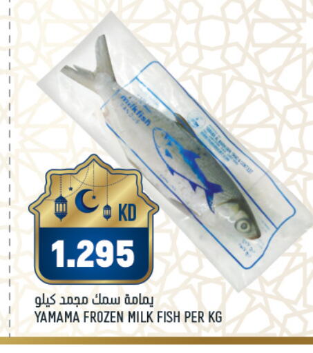 available at أونكوست in الكويت - محافظة الجهراء