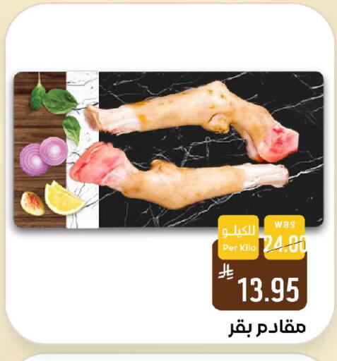 available at شبرا الطائف in مملكة العربية السعودية, السعودية, سعودية - الطائف