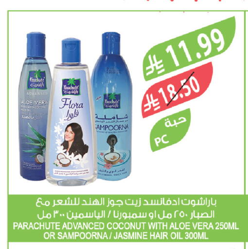 Coconut available at المزرعة in مملكة العربية السعودية, السعودية, سعودية - الباحة