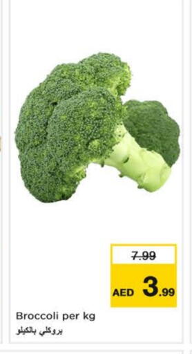 Broccoli available at نستو هايبرماركت in الإمارات العربية المتحدة , الامارات - الشارقة / عجمان