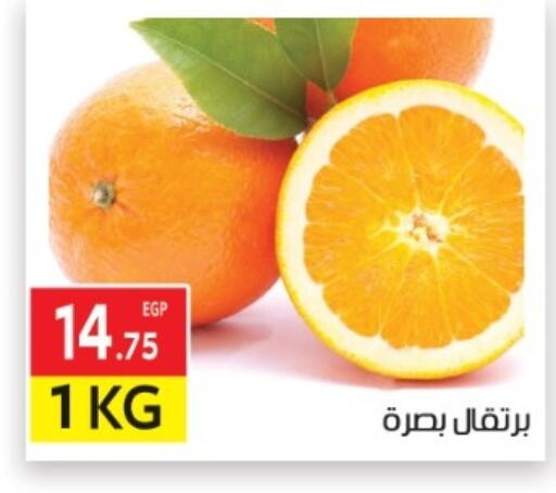 available at المحلاوي ماركت in Egypt - القاهرة