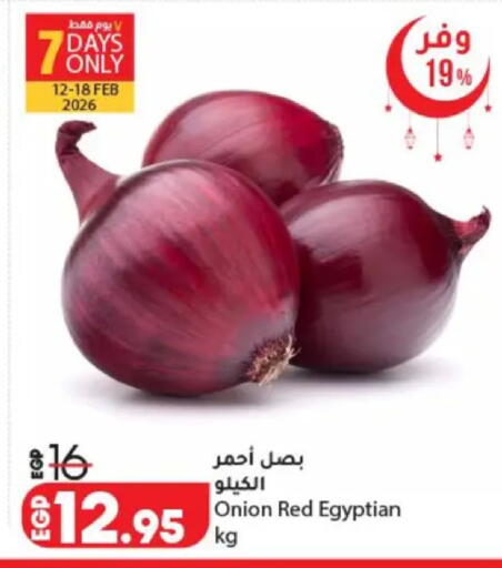 Onion from Egypt available at لولو هايبرماركت in Egypt - القاهرة