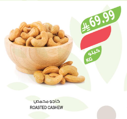 available at Farm  in KSA, Saudi Arabia, Saudi - Yanbu