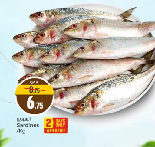 available at باريس هايبرماركت in قطر - الريان