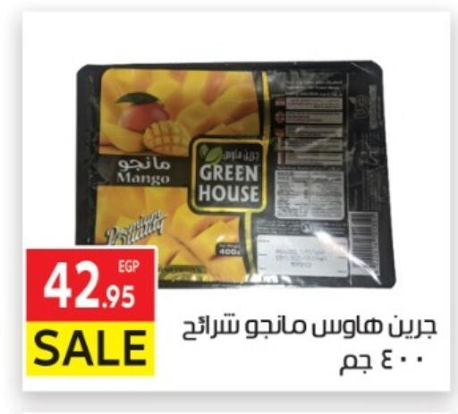 Mango available at El Mahallawy Market  in Egypt - Cairo