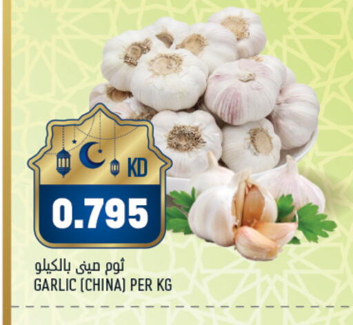 Garlic from China available at Oncost in Kuwait - Kuwait City