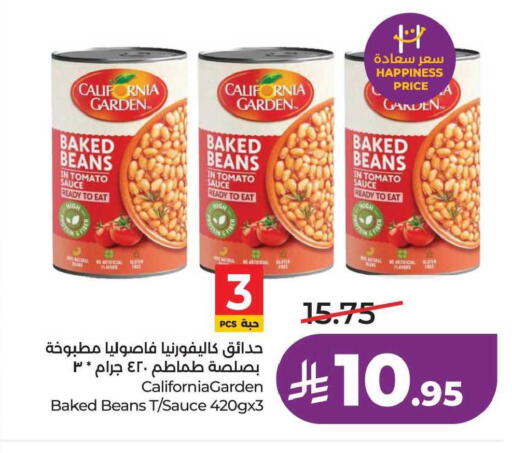 Tomato available at لولو هايبرماركت in مملكة العربية السعودية, السعودية, سعودية - الخبر‎