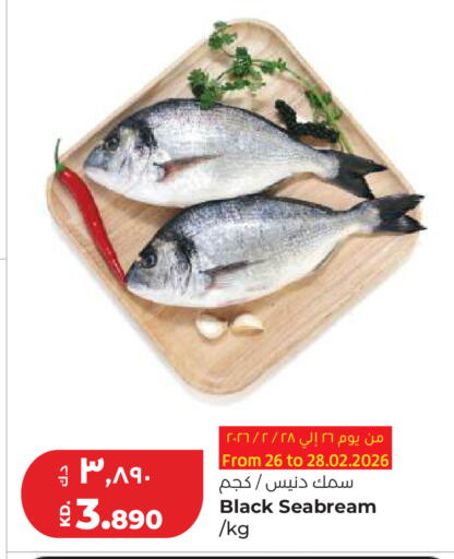available at Lulu Hypermarket  in Kuwait - Ahmadi Governorate