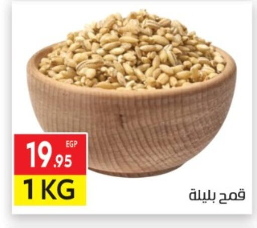 available at المحلاوي ماركت in Egypt - القاهرة