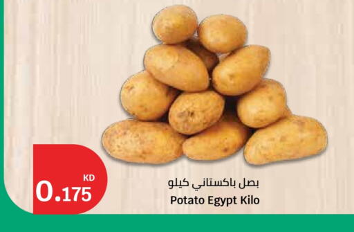 Potato from Egypt available at City Hypermarket in Kuwait - Ahmadi Governorate