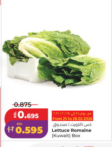 Lettuce from Kuwait available at Lulu Hypermarket  in Kuwait - Ahmadi Governorate