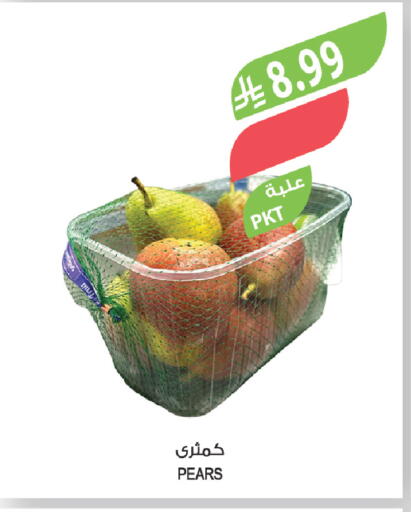 available at المزرعة in مملكة العربية السعودية, السعودية, سعودية - المنطقة الشرقية