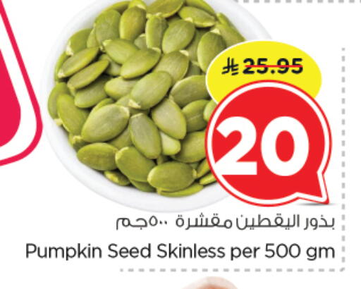 Pumpkin available at نستو in مملكة العربية السعودية, السعودية, سعودية - الرياض