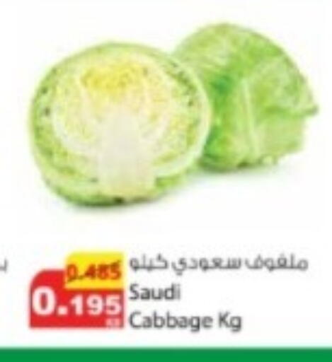 Cabbage from Saudi Arabia available at شركة المنتجات الزراعية الغذائية in الكويت - مدينة الكويت