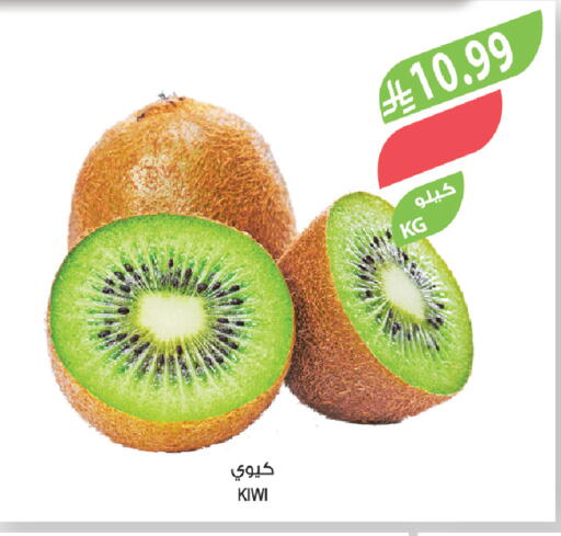Kiwi available at Farm  in KSA, Saudi Arabia, Saudi - Jazan