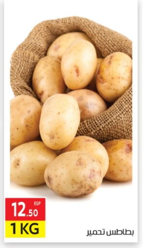 available at المحلاوي ماركت in Egypt - القاهرة