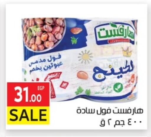 available at المحلاوي ماركت in Egypt - القاهرة