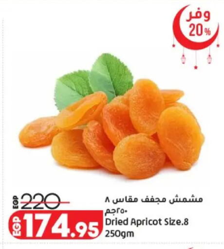 Apricot available at لولو هايبرماركت in Egypt - القاهرة