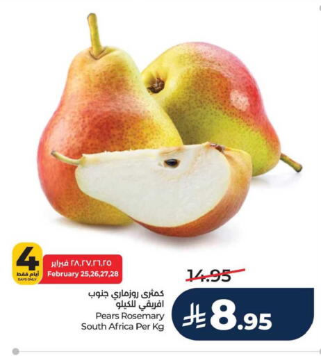 Rosemary from South Africa available at لولو هايبرماركت in مملكة العربية السعودية, السعودية, سعودية - الجبيل‎