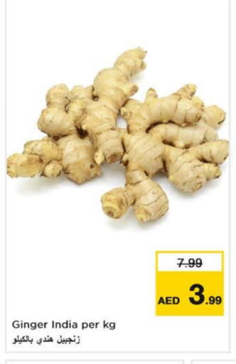Ginger from India available at نستو هايبرماركت in الإمارات العربية المتحدة , الامارات - الشارقة / عجمان