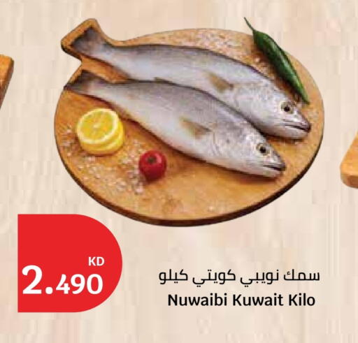 available at سيتي هايبرماركت in الكويت - محافظة الأحمدي