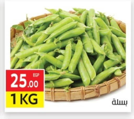 available at المحلاوي ماركت in Egypt - القاهرة