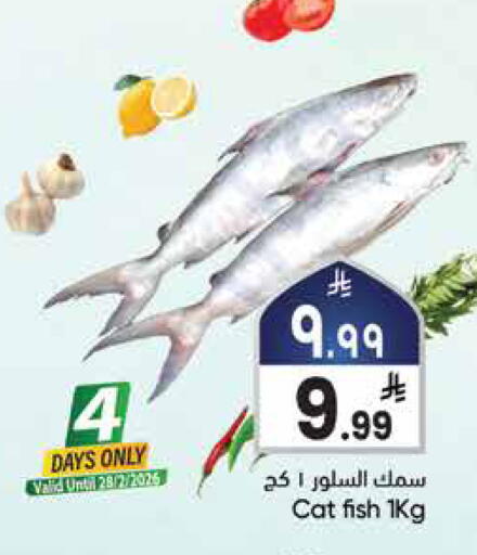 available at ستي فلاور in مملكة العربية السعودية, السعودية, سعودية - سكاكا