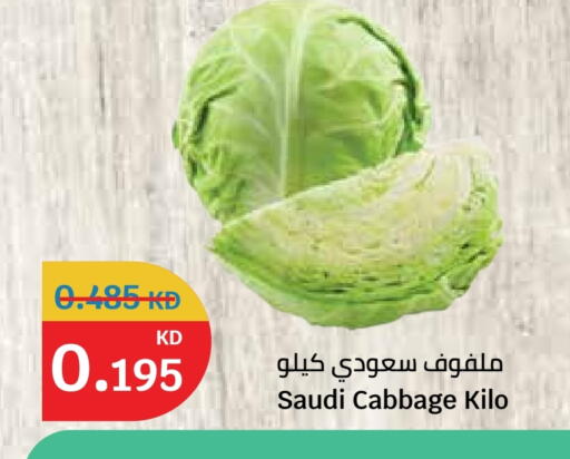 Cabbage from Saudi Arabia available at City Hypermarket in Kuwait - Jahra Governorate