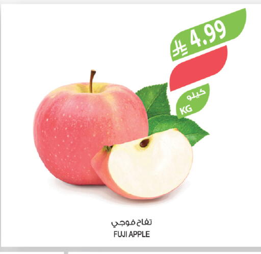 Apple available at Farm  in KSA, Saudi Arabia, Saudi - Najran