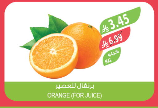Orange available at Farm  in KSA, Saudi Arabia, Saudi - Khafji