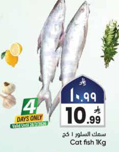 available at City Flower in KSA, Saudi Arabia, Saudi - Hail