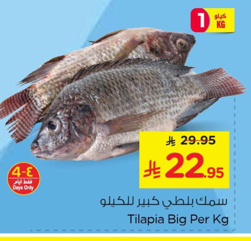 available at نستو in مملكة العربية السعودية, السعودية, سعودية - المنطقة الشرقية