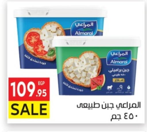 available at المحلاوي ماركت in Egypt - القاهرة