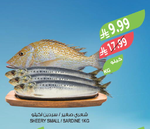 available at المزرعة in مملكة العربية السعودية, السعودية, سعودية - تبوك