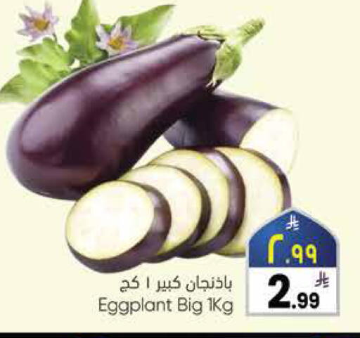Eggplant available at ستي فلاور in مملكة العربية السعودية, السعودية, سعودية - الرياض