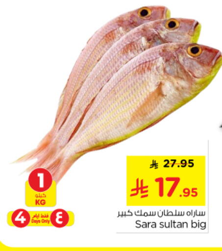 available at نستو in مملكة العربية السعودية, السعودية, سعودية - الخرج