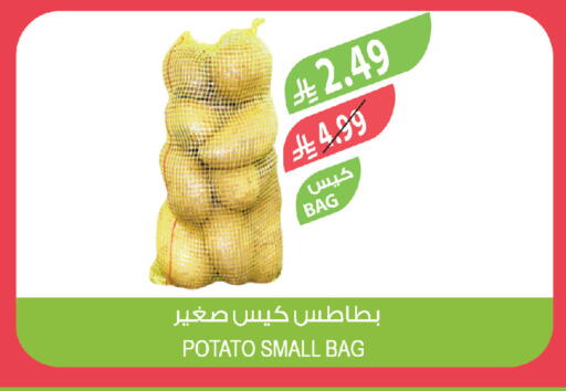 Potato available at Farm  in KSA, Saudi Arabia, Saudi - Saihat