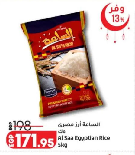 available at لولو هايبرماركت in Egypt - القاهرة